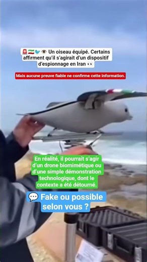 Oiseau-drone : certains affirment qu’il s’agirait d’un dispositif d’espionnage en Iran