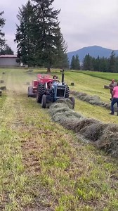 3.9M views · 51K reactions | #Crops #Cotton #Wheat #Maize #Rice #Technology #Agriculture #Farming #Farm #Agri #Business #Seed #Selling #Farmlife #tractor #Pakistan #ziraat #Allcrops #farmanimals #agriculturelife #organicfarm #johndeere #garden #careagroservices | 헞헜헦헔헡 헖헔헥험 | Facebook