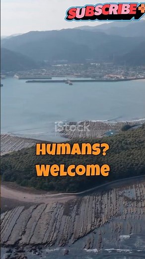 Discover Tashirojima: Japan’s Island of Cats 🐾 | The Ultimate Cat Paradise!