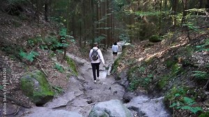 Hiking in German forests. Path to the Saxony Switzerland, Germany. Filming in 4k. Cinematic view.