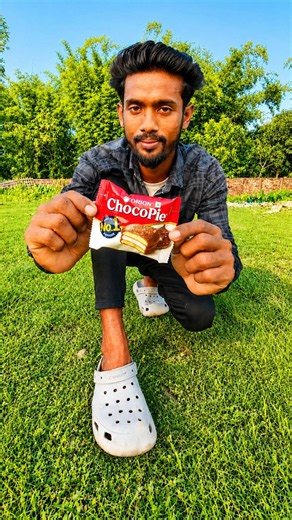 Chocopie Cake || Chocolate Dry Cake Eating & Taste Testing 🥮🍰 #shorts #cake