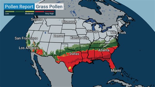 6.8K views · 86 reactions | On a scale from 1 to 10, how well are you handling the pollen? ⬇️ | The Weather Channel | Facebook
