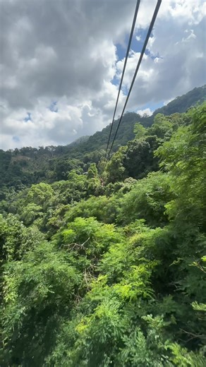Experience the Thrill of Koh Samui's Treebridge Zipline