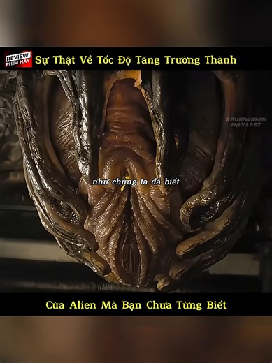 Sự Thật Về Tốc Độ Trưởng Thành Của Alien