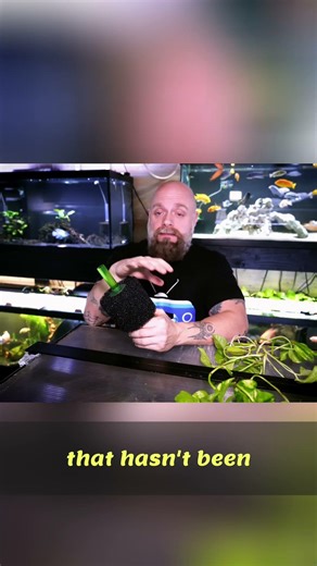 Upgrade Your Aquarium: Powerheads for Quieter, Cleaner Tanks!