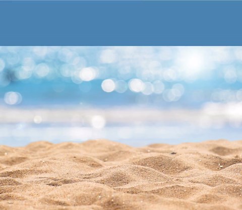 Sea Animal Bingo, 50 Sea Animal Bingo Cards, Sea Animal Party Game, Animal Activity for Kids, Animal Birthday Bingo, Sea Animal Bingo Game - Etsy