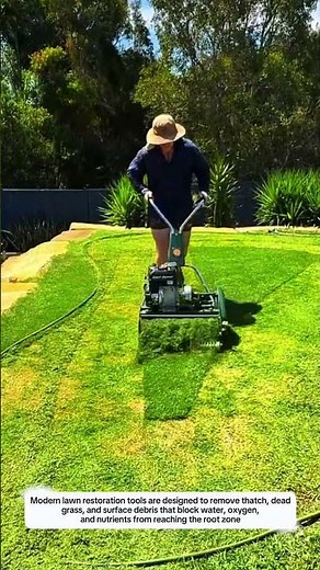 Lawn Restoration Tools Remove Thatch Up to 20 mm Deep for Healthier Grass