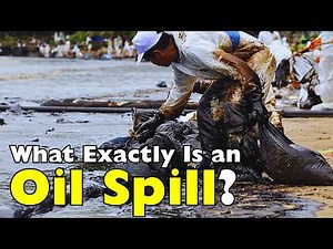 How One Oil Spill Can Destroy an Entire Ocean Ecosystem [ID0801]