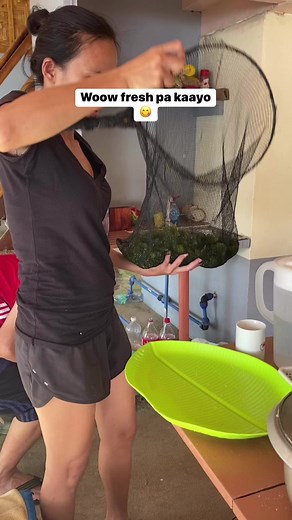 131K views · 360 reactions | caulerpa lentillifera #seagrape #indaynalyn #fbreelsviral | Inday Nalyn. | Facebook