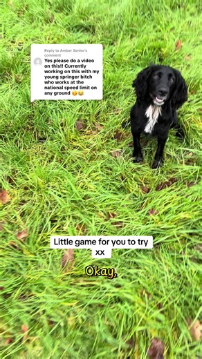 Engaging Games for Gun Dog Training