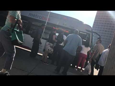 Transit Flashback | WMATA Metrobus 2016 New Flyer Xcelsior XDE40 #7369 – Route Q4 to Silver Spring