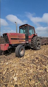 INTERNATIONAL 826 and a 5288 Plowing at the Half Century of Progress 2023 ‪@imatractorholic3006‬