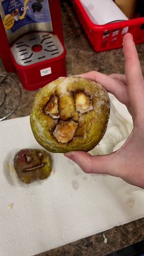 Howdy Mad Scientists! Today I'm showing you how to make a mummified apple. It was a little gross but honestly SO cool and surprisingly easy! Come back Friday to wrap up our super spooky mummy week. #oklahomastem #madscienceok #steamdogs | Mad Science