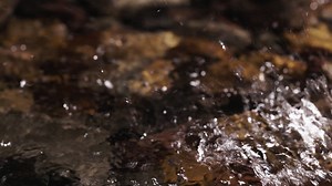 Water flowing in a river | Free Stock Video Footage