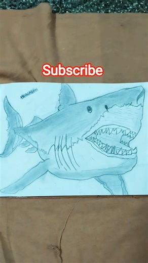 Drawing under the deep: Megladon (An extinct species)#shark#megladon drawn by Vishva