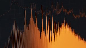 ‘Fish DJ’ tackles fish hearing