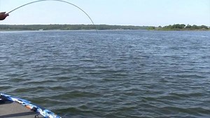 2.8K views · 137 reactions | The Man and his Bug. Tommy Biffle spent some time on the water with us today to share a bunch of great tips for summer buggin. We’ll begin posting them Monday, June 4. Don’t miss a one. #teamlarew #tommybiffle #bifflebug #bass #bassfishing | Gene Larew Lures | Facebook