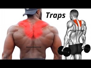 TRAPS WORKOUT- top 5 traps exercises at gym / UPPER TRAPS / MIDDDLE TRAPS / LOWER TRAPS