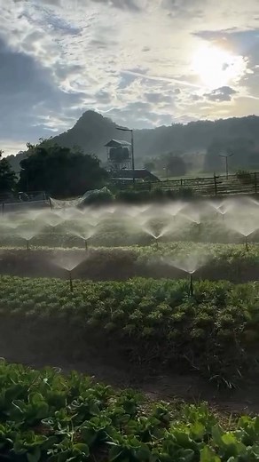 7.6K views · 26 reactions | Smart Garden on Reels | Facebook