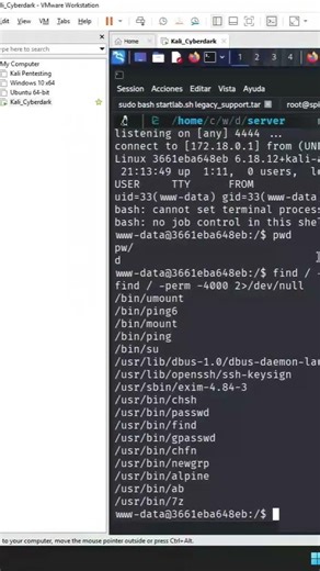 “De 0 a ROOTentrenamiento de hacking ético paso a paso #pentesting #hackingdesdecero #ciberseguridad