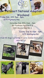This is the big adoption event Petsmart holds a few times a year and We will be at all of the locations. Come meet some of our amazing adoptable dogs and puppies | Paws United Dog Rescue (not for profit rescue)