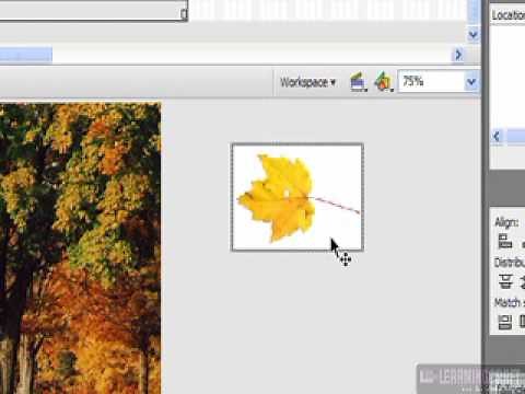 Learn how to create a path-based animation using Adobe Flash