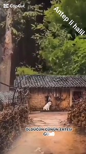 Olduğun gün ayakkabin Kapının önüne Konur çokta Kaptırma dünya ya kendini | Kara sevdalı vuslat antepli.