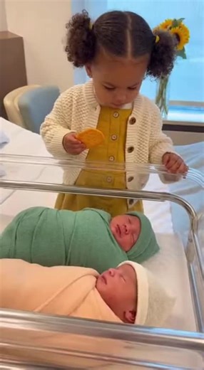 Toddler's Hilarious Reaction to Two New Babies