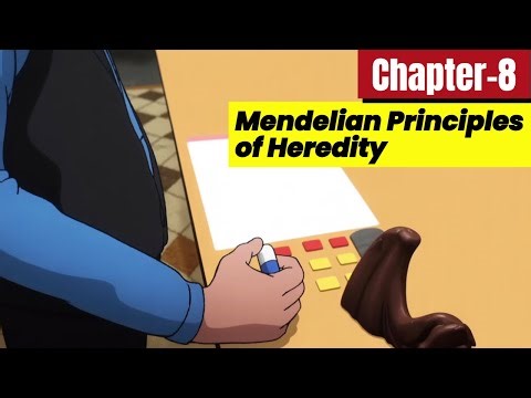 Mendelian Principles of Heredity: Genetics Basics | Class 10 Biology