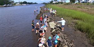 St. James community creates living shoreline from recycled oyster shells