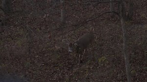 Doubting HECS? Hear It From Real Hunters Who Experienced the Difference... John Dudley, Tom Miranda, even Joe Rogan have adopted HECS®, so what are you waiting for? Get your HECS®️ Concealment System today >> https://hecshunting.com/ | HECS