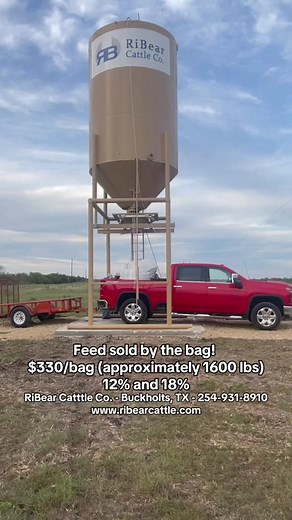 RiBear Cattle Co. on TikTok