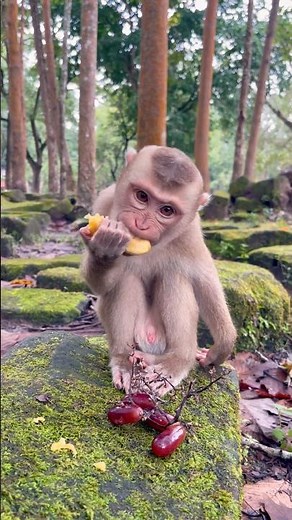 How satisfying watching Luno eating 🤭❤️ #shorts #youtubeshorts