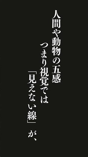 抽象化の基本的な機能を踏まえたうえで、それをひと言でいえば「見えない線を引く」ことと表現できるでしょう。人間や動物の五感つまり視覚では「見えない線」が、人間の心のなかでは引かれているのです。