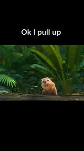 Capybara After Party Memes Explained