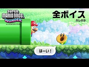 おしゃべりフラワーの声 (日本語) 743種類 スーパーマリオブラザーズワンダー
