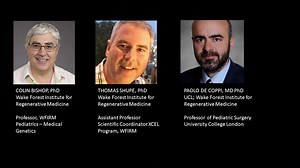 The Organoid Revolution-类器官革命