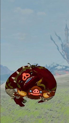 Bokoblin Needs a Hug! #bokoblin #tearsofthekingdom #zeldaanimation
