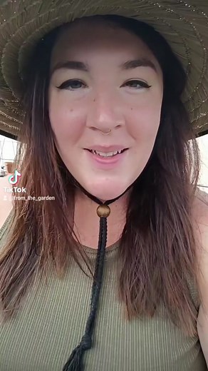 Comfrey is a magical plant that draws nutrients deep from within the soil. It's leaves can be used medicinally for human topical use and steeped as a stinky tea to fertilize your garden! #gardentok #comfrey #comfreytea #growingherbs #herbalist #diygarden #urbangarden #cheapgarden #diyfertilizer