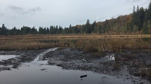 Ben There, Done That: Moss Lake