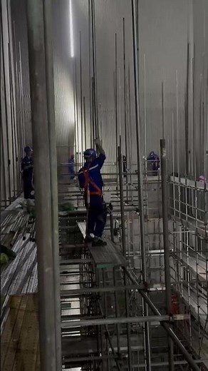 Behind the Scenes: Climbing High-Voltage Towers at the Power Plant