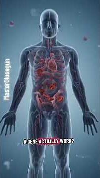 Genes in Biology Explained in 3D | What Are Genes and How Do They Work?