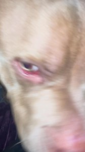 26K views · 2K reactions | For anyone questioning the validity of the...