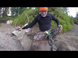 Beautiful Buck D6 Hunting