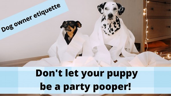 Puppy Party Fails: 4 Dog Owner Etiquette Rules Broken
