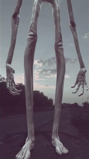 Wolf Howling Sound In Village |#wildlife#nature#forest#wolfsong#viralshorts #wolfsounds#shorts