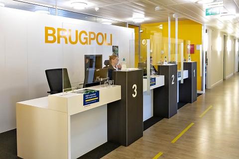 Brugpoli