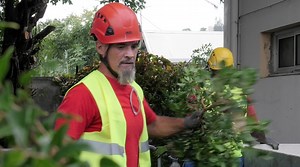 7.1K views · 52 reactions |  Le Guichet d’Embauche Express Plus de vidéos sur https://webtv.province-sud.nc/ Pour les entreprises qui ont besoin de recruter du personnel ponctuellement et rapidement, il existe le Guichet d’Embauche Express (GEEX) Ce service de la direction de l’Economie de la Formation et de l’Emploi (DEFE) se charge de trouver des personnes opérationnelles pour des contrats de travail pouvant aller jusqu’à 15 jours. | province Sud | Facebook