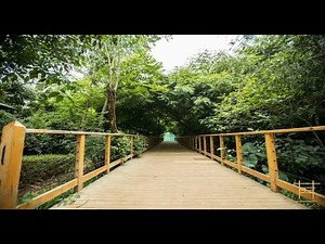 Area 83 Resort, Bangalore | Day Outing Resorts | Adventures Activities at Area 83 | Team Outing