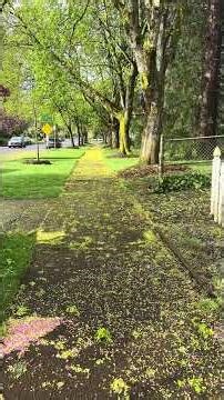 USDA homes 🏠 #tiktok #portland #forsale #dreamhome #newhome #foryou #fyp